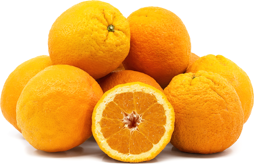 Fresh Oranges